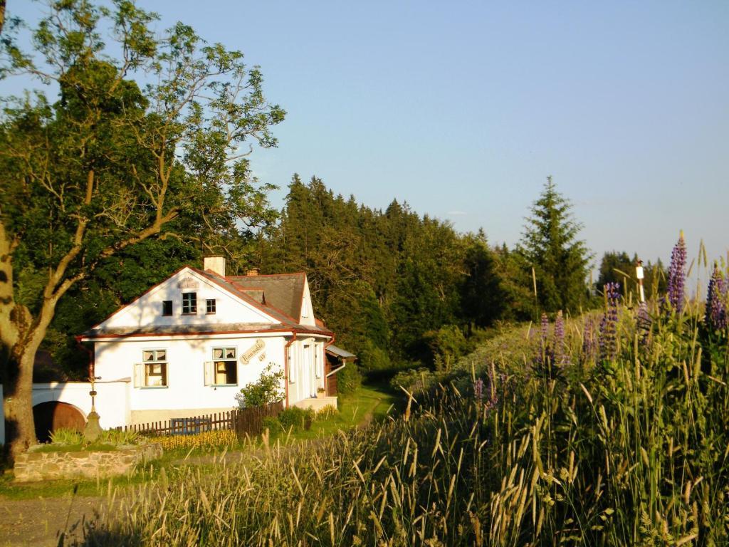 Rainmuehle Villa มาเรียอานซเกลาซนี ภายนอก รูปภาพ